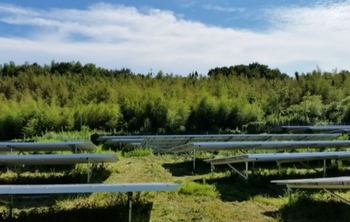 半田市で7000㎡の太陽光発電の草刈り
